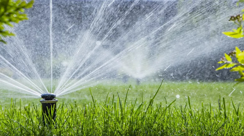 sprinkler watering green grass